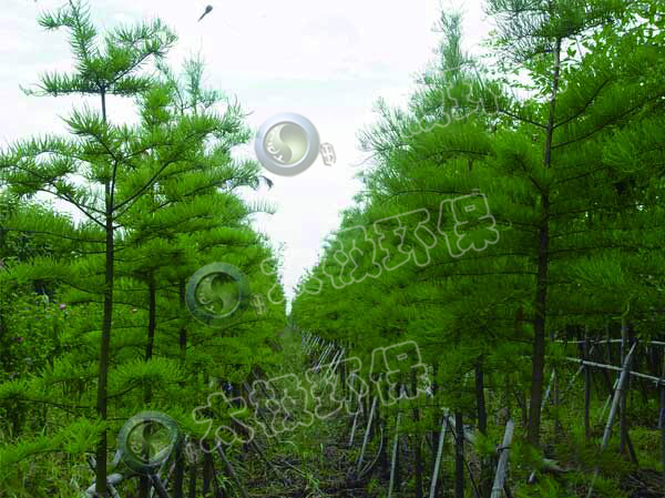 1466648826844929.jpg 1466648826844929.jpg