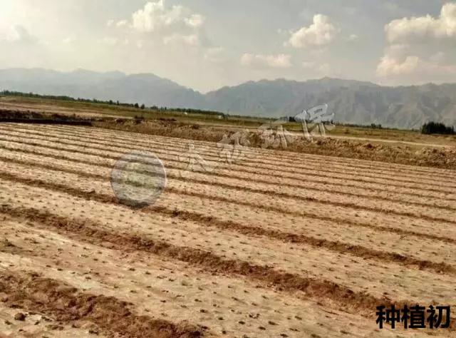 1488440960861582.jpg zgdlb2.jpg