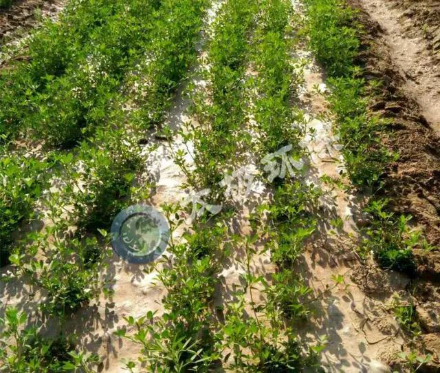 1488441084102561.jpg zgdlb8.jpg